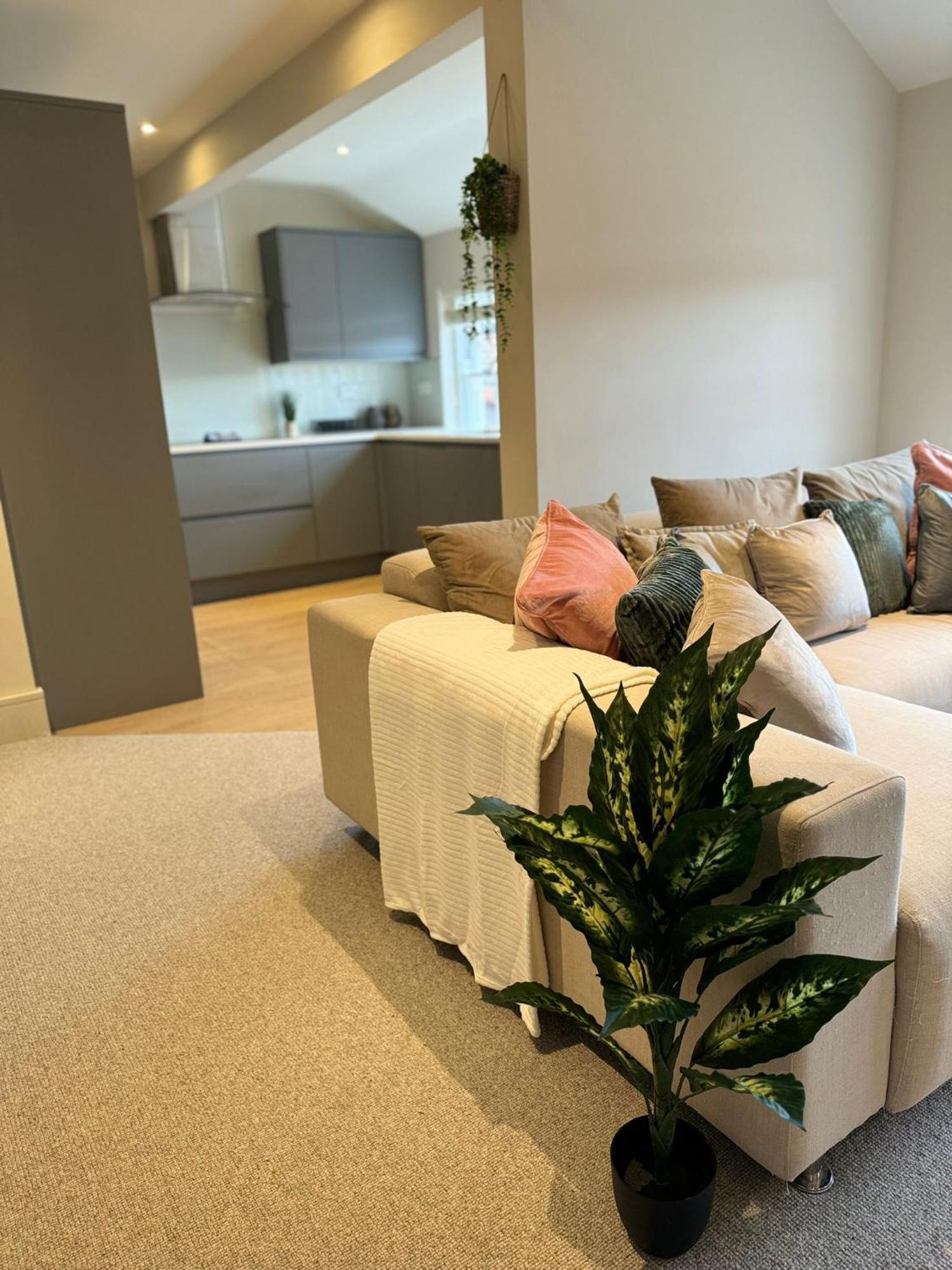 Osbourne House Pink 2 Bed, 2 And Half Bath Apartment Birmingham Exterior photo